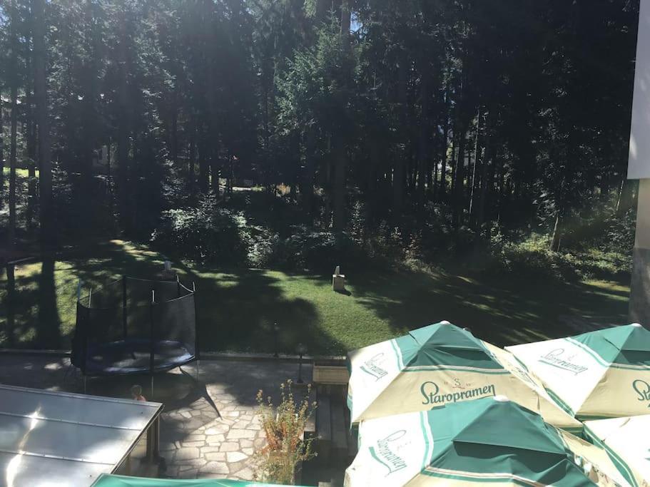 Villa Park - Beniart Studio - Nr 109 - Near Gondola Lift Borovets Dış mekan fotoğraf